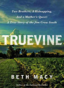 无双剑域：探索最强武器与角色搭配技巧